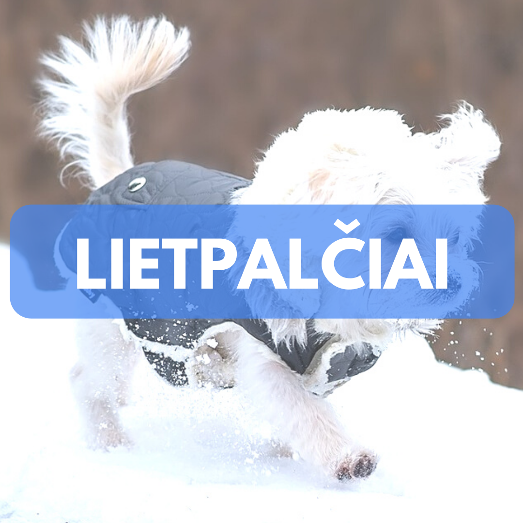 Prekės šunims - lietpalčiai
