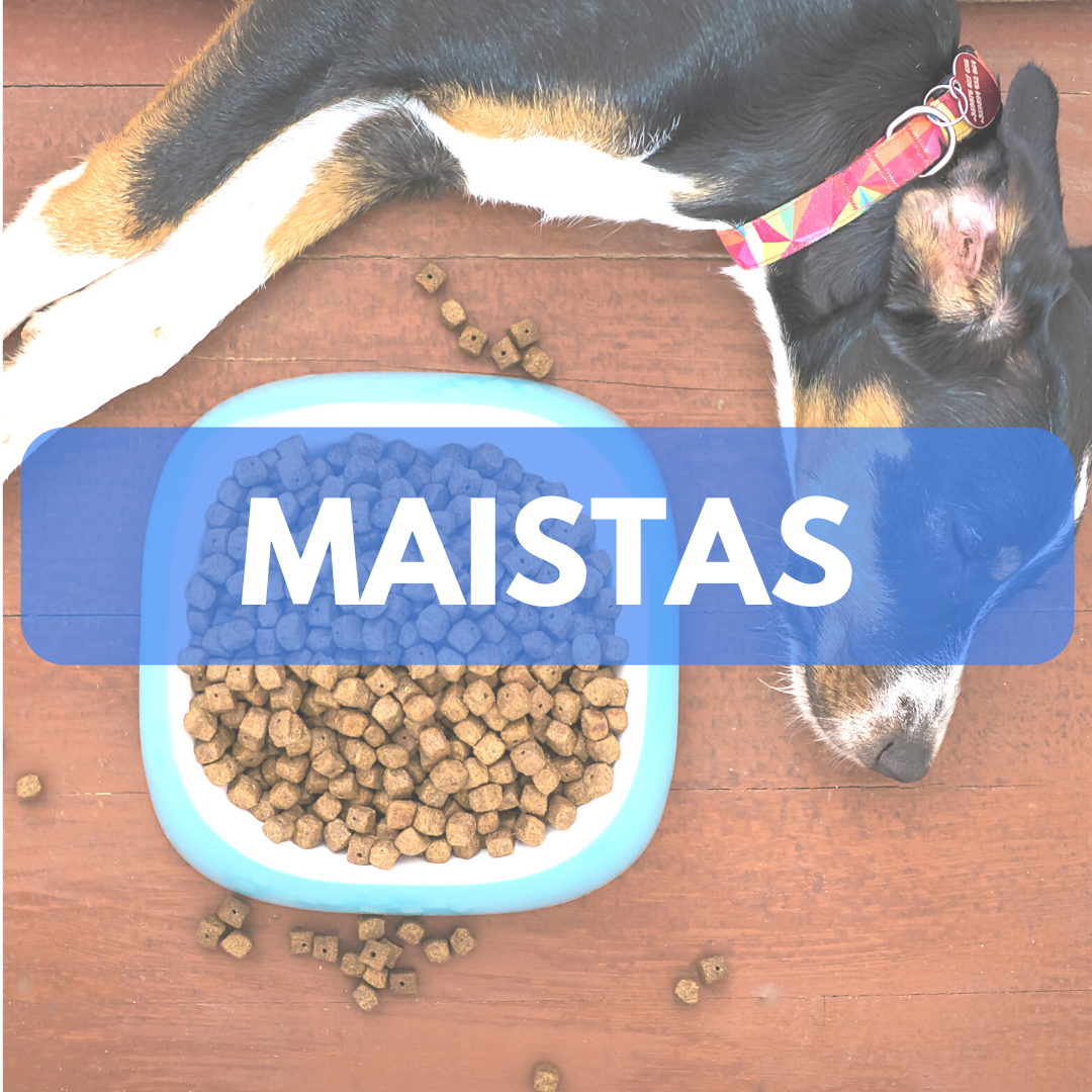 Prekės šunims - maistas