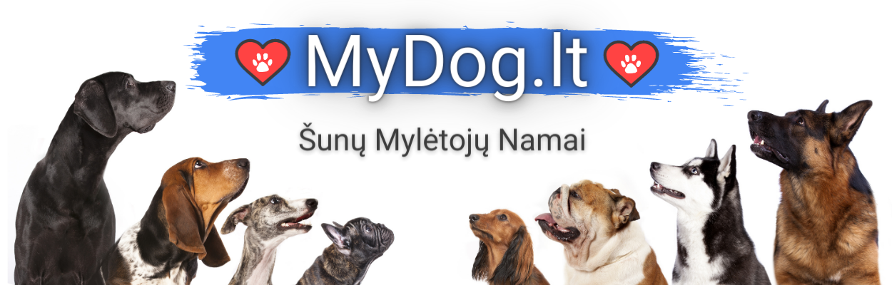 MyDog.lt yra prekių šunims internetinė parduotuvė, šunų mylėtojų namai, bendruomenė, šeimos ratas