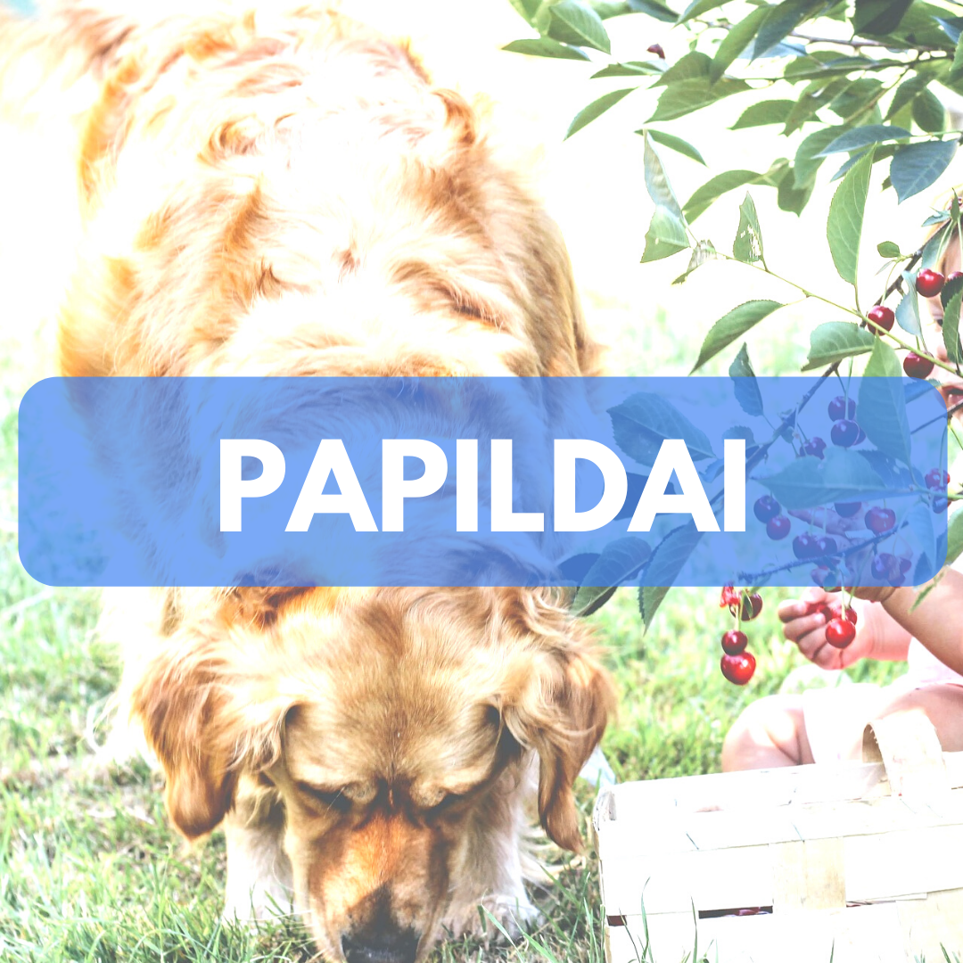 Prekės šunims - papildai