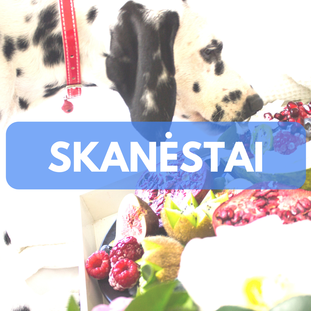 Prekės šunims - skanėstai